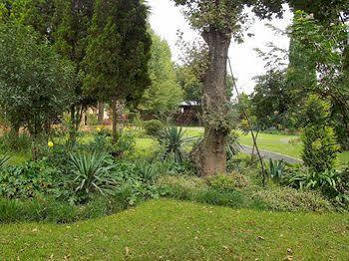 Sarabi Country Lodge Kempton Park Bagian luar foto